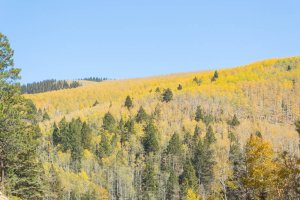 20201020FallColors2020164.jpg